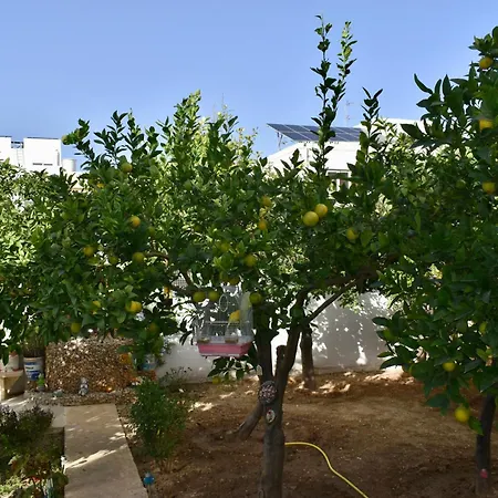 Secret - Rose * Tarxien