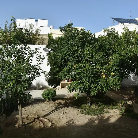 民宿 Secret - Rose