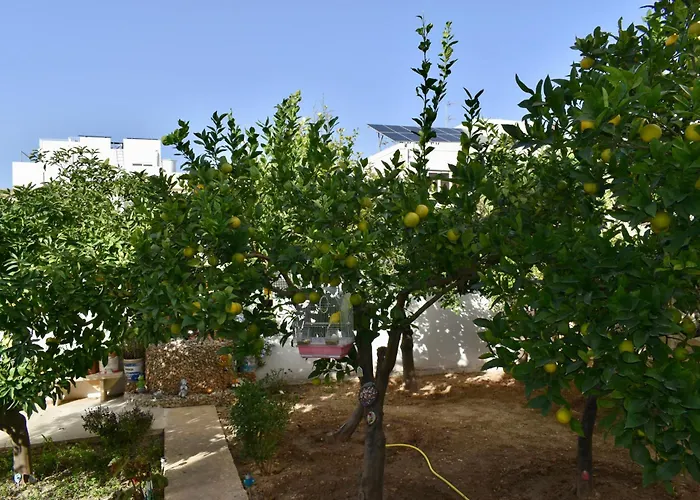 Secret - Rose * Tarxien