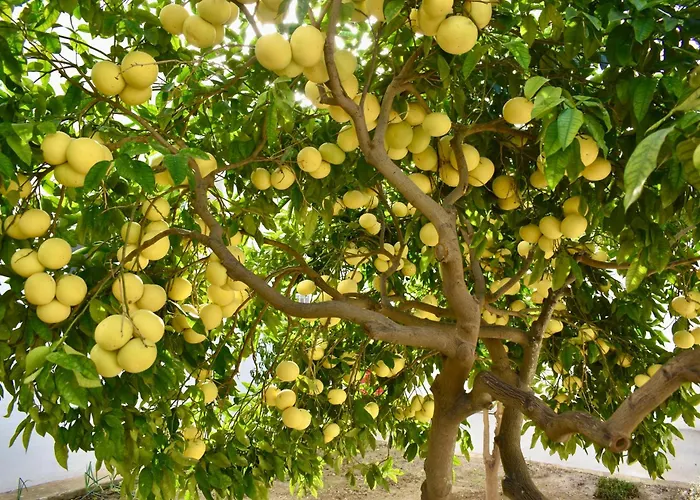 Rum i privatbostad Secret - Rose