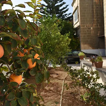 בית אירוח Secret - Rose Tarxien